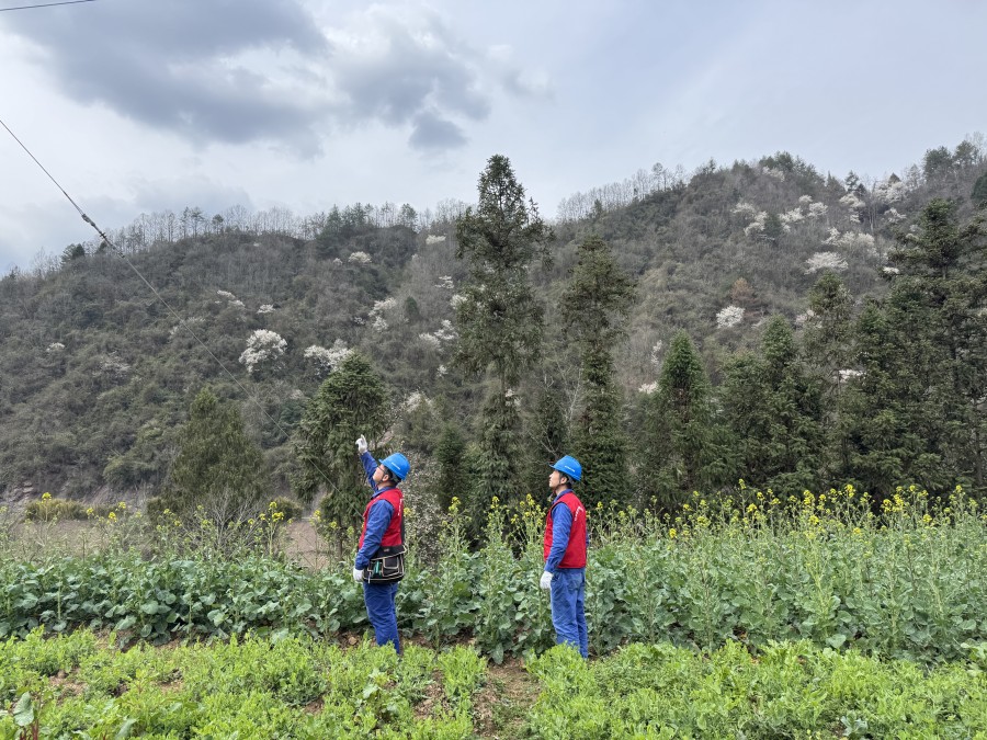 圖五為:巡查線路隱患